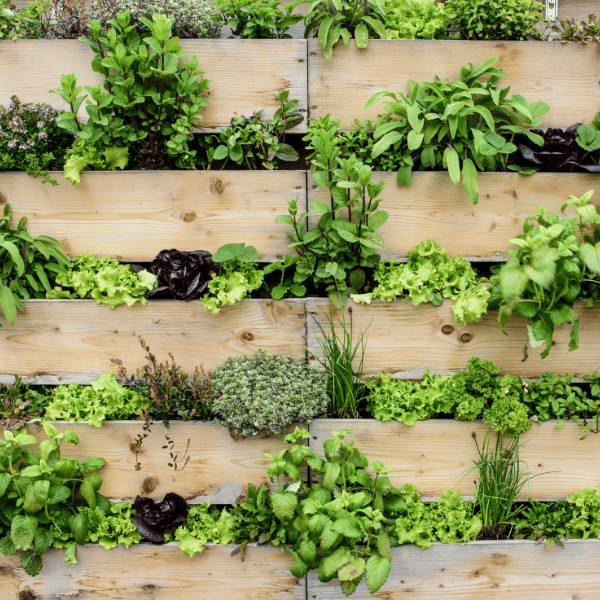 jardin vertical guia, como crear