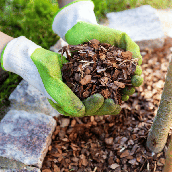beneficios del mulching
